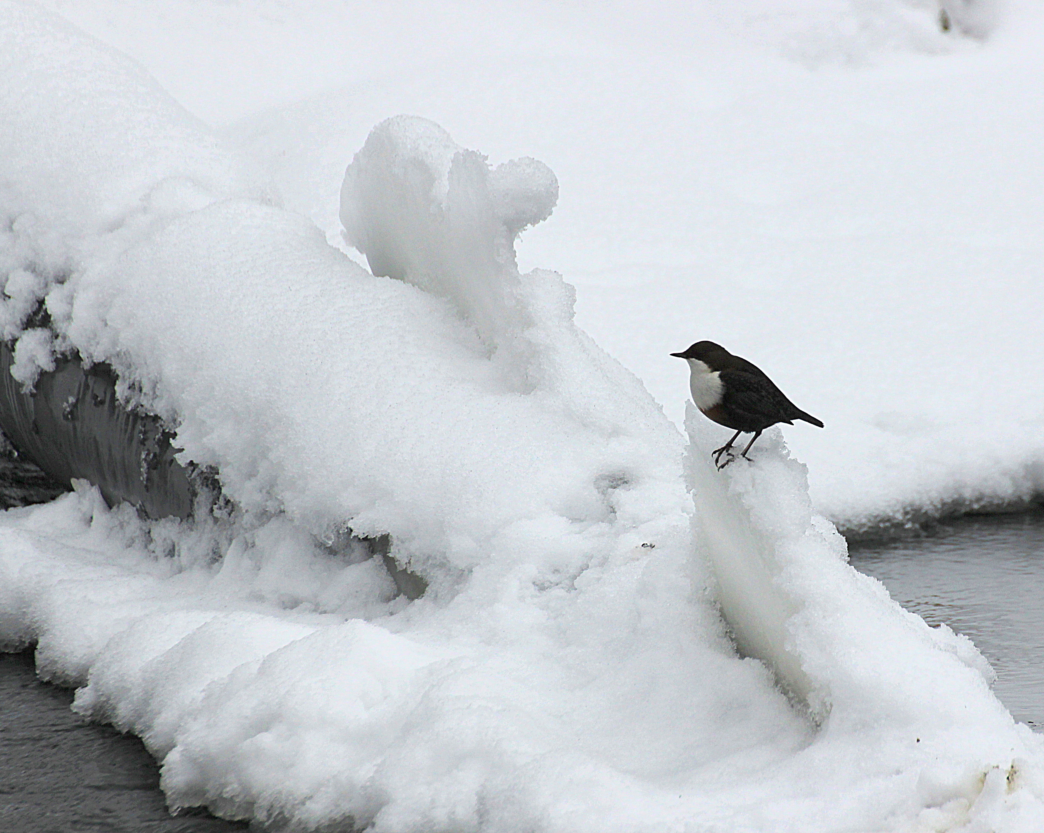 Valokuvaaja: Irja lehtinen