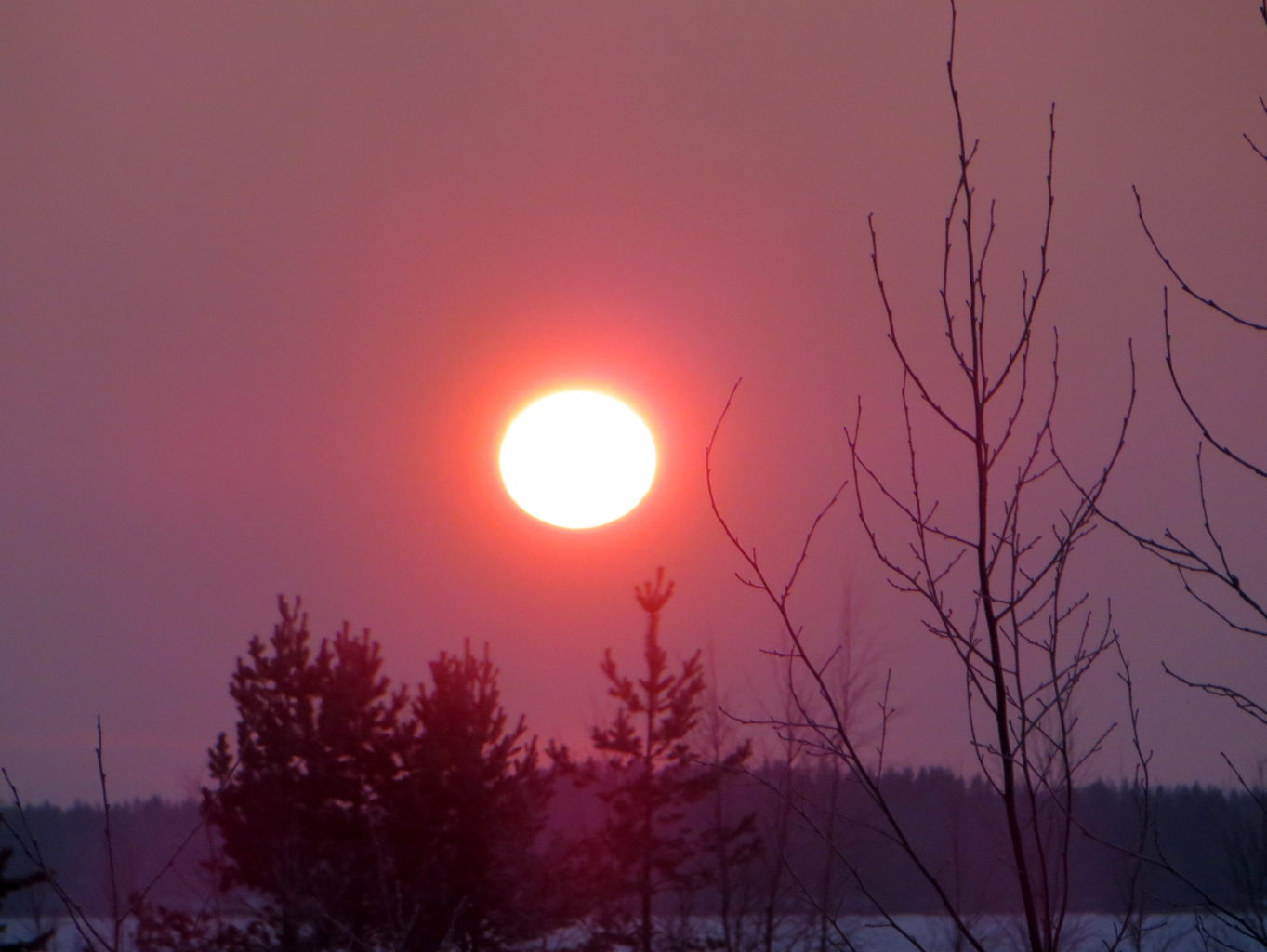 Valokuvaaja: Sirkka Ruotoistenmäki