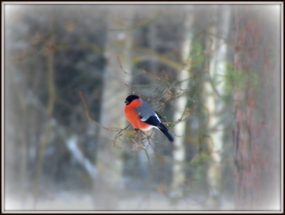 Valokuvaaja: Heidi Mikkola