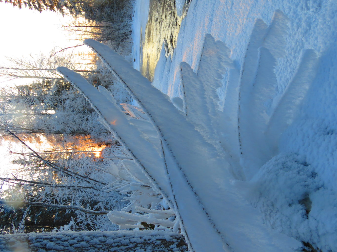 Valokuvaaja: Anu Kokkila Valokuvaaja: Anu Kokkila