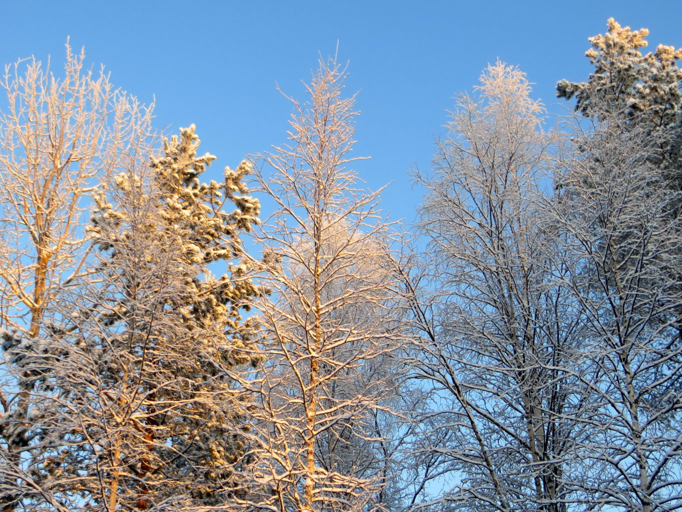 Valokuvaaja: Sirkka Ruotoistenmäki