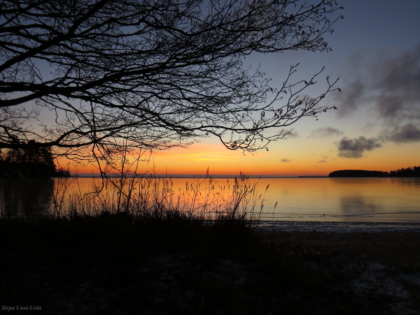 Valokuvaaja: Sirpa Uusi-Uola