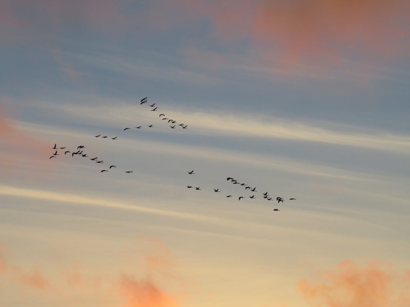 Valokuvaaja: Sirpa Uusi-Uola