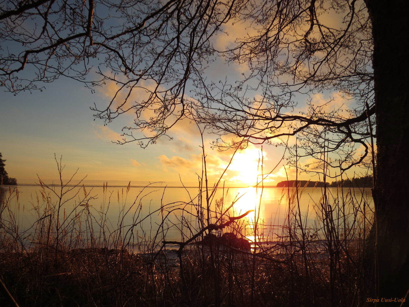Valokuvaaja: Sirpa Uusi-Uola