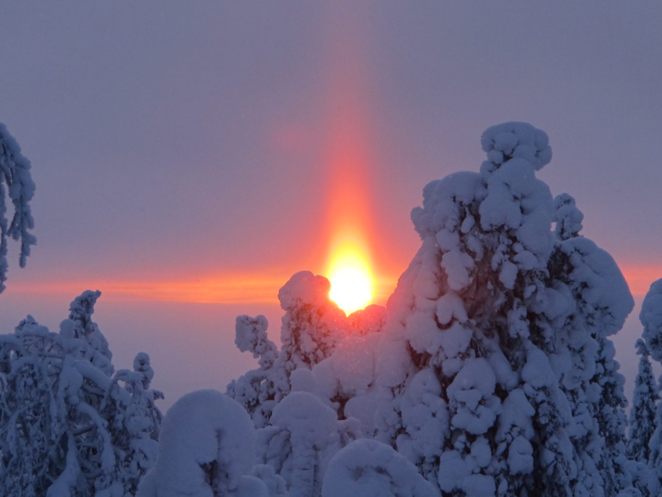 Valokuvaaja: Hannu Suominen