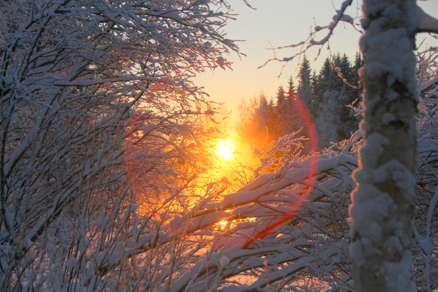 Valokuvaaja: Sirpa Jyske