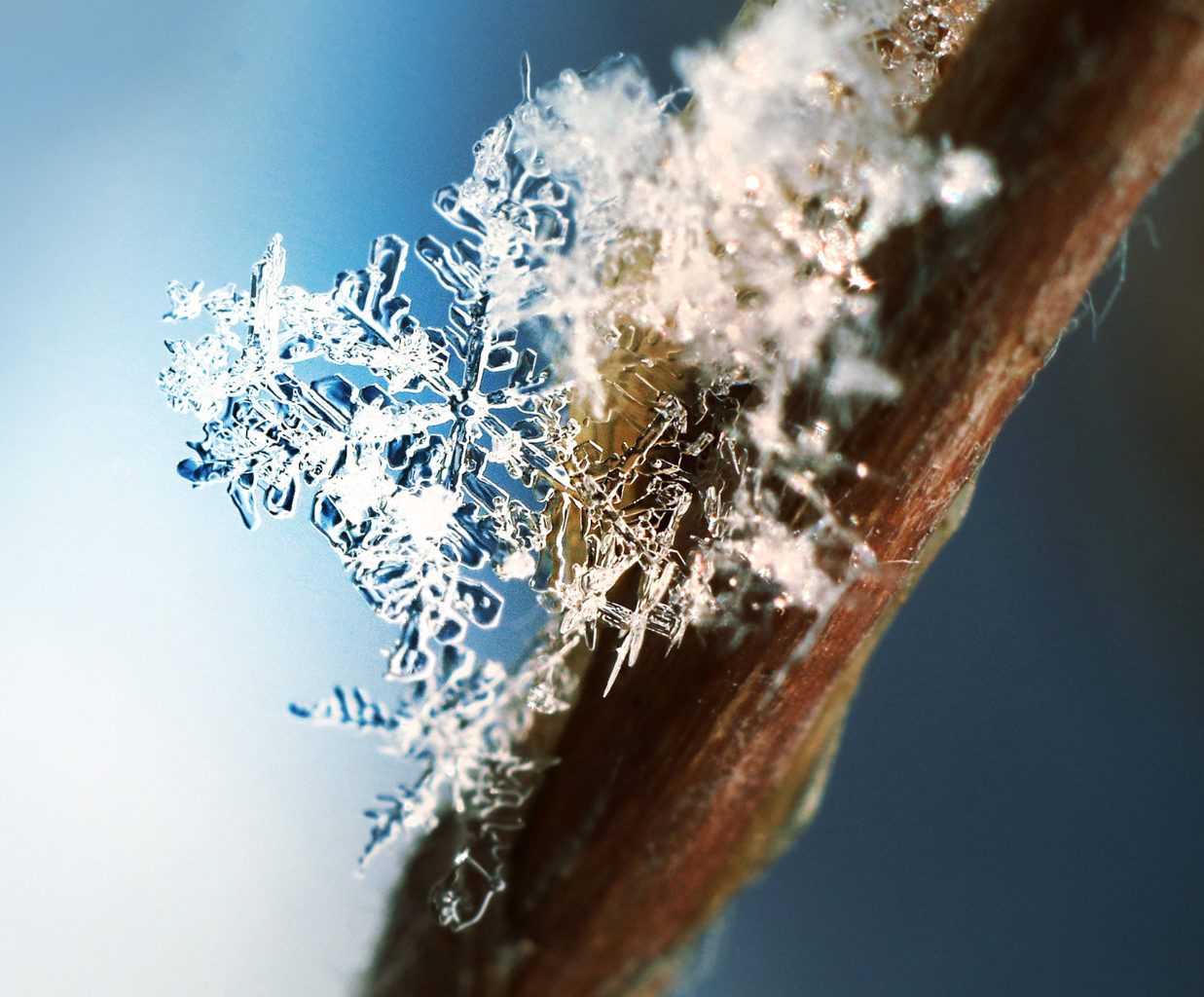 Valokuvaaja: Tarja Porkkala Valokuvaaja: Tarja Porkkala