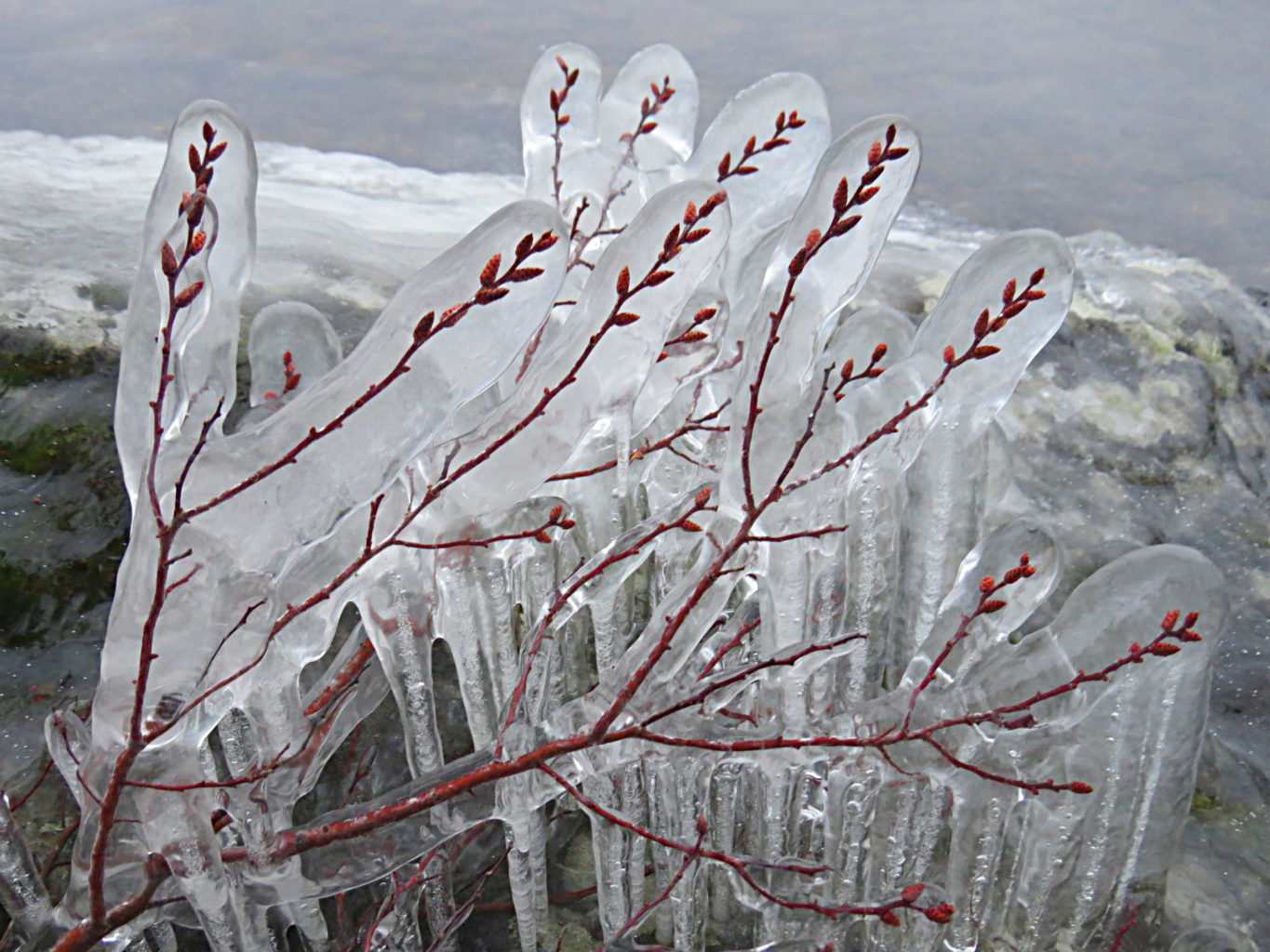 Valokuvaaja: Jaana Talvinen