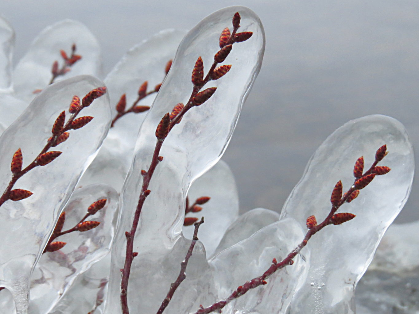 Valokuvaaja: Jaana Talvinen