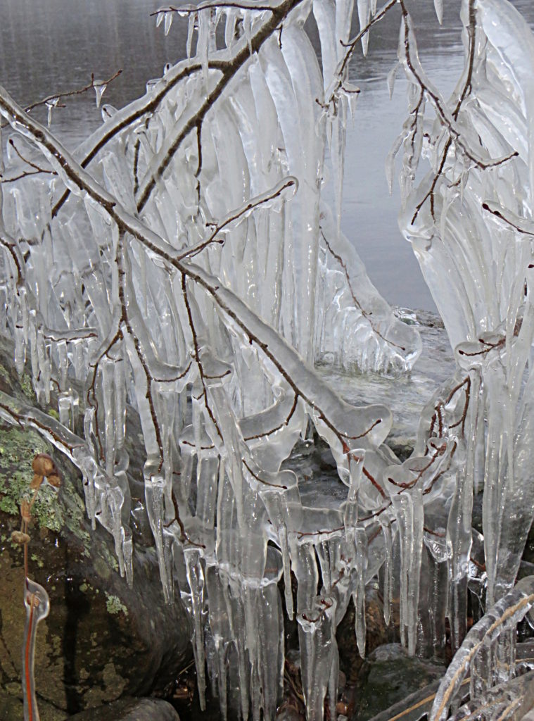 Valokuvaaja: Jaana Talvinen