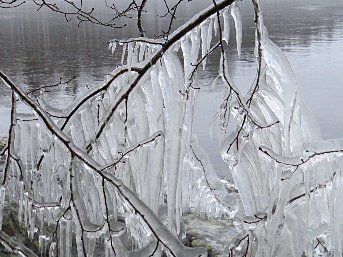 Valokuvaaja: Jaana Talvinen Valokuvaaja: Jaana Talvinen