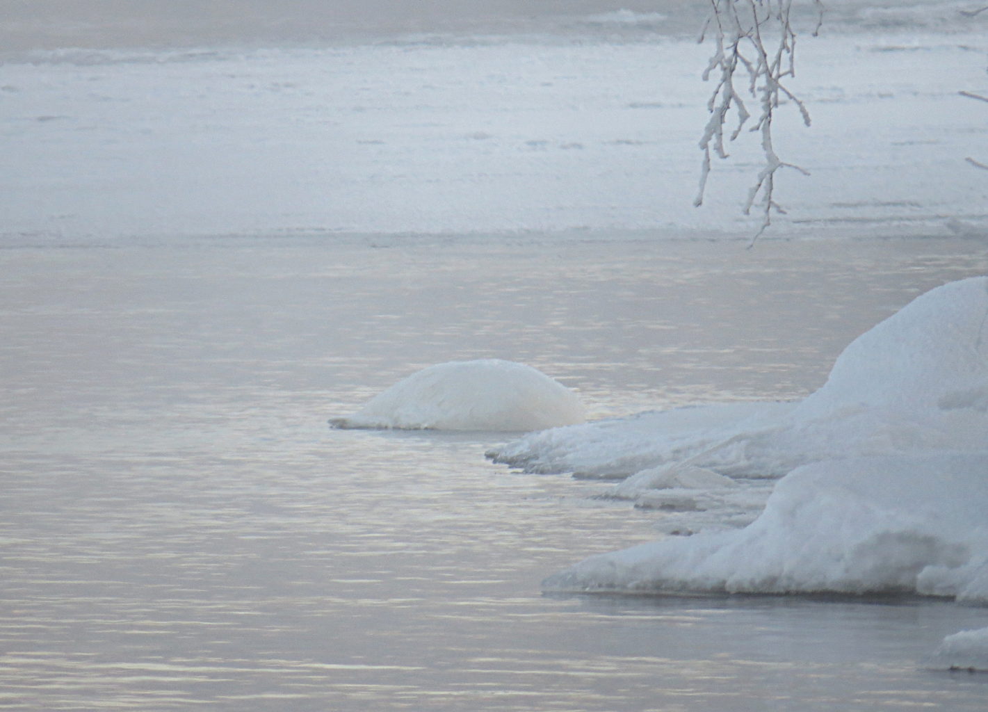 Valokuvaaja: Jaana Talvinen