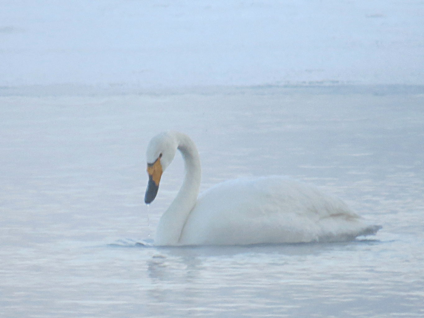Valokuvaaja: Jaana Talvinen