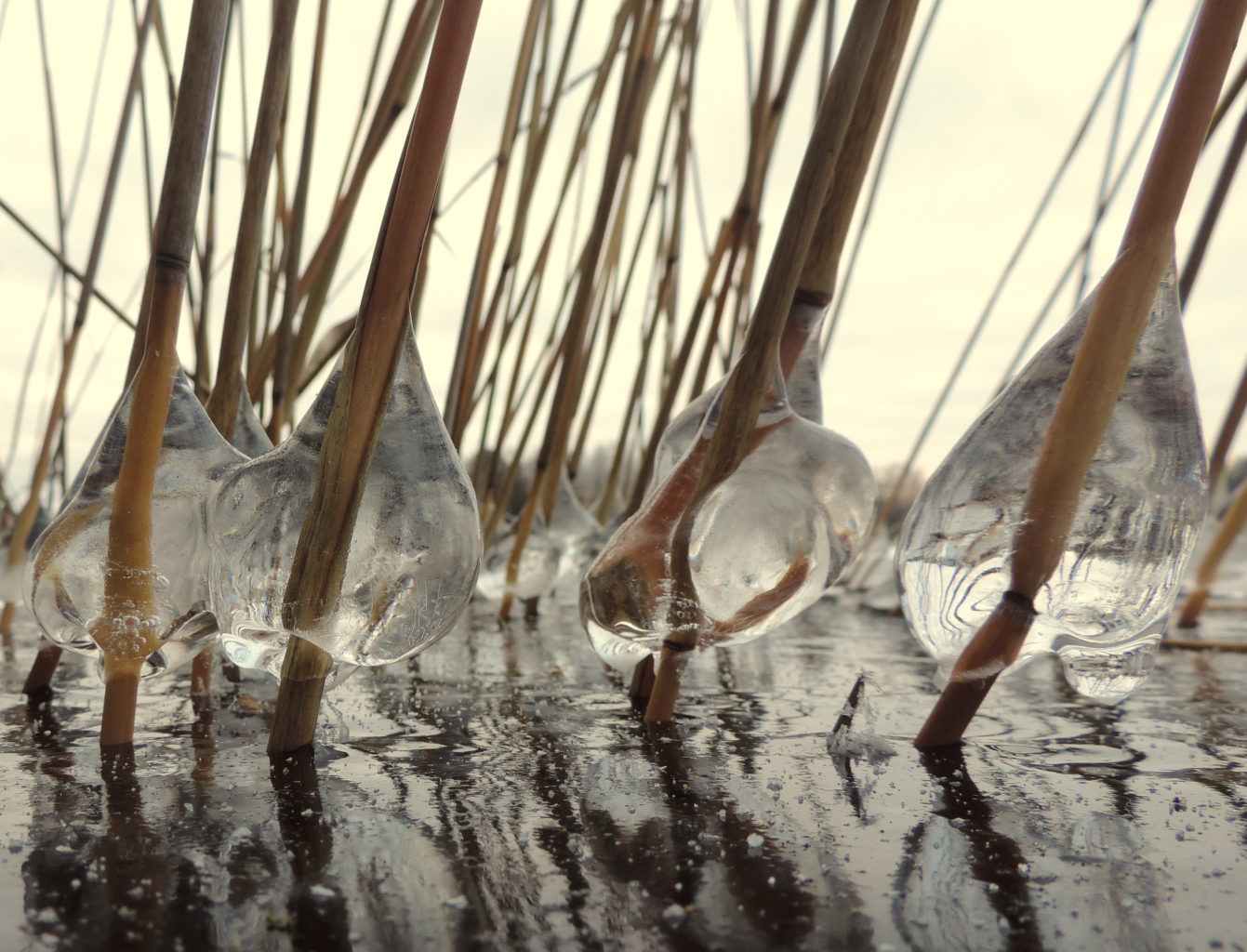 Valokuvaaja: Helena Sytelä