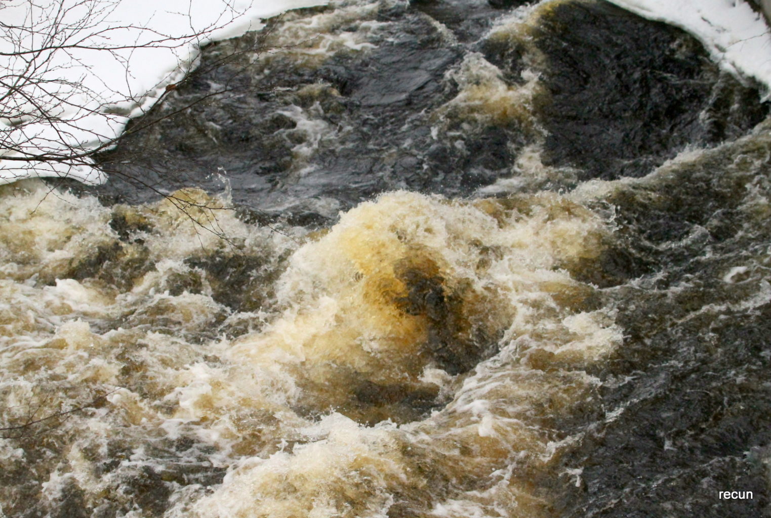 Valokuvaaja: reijo lehtonen