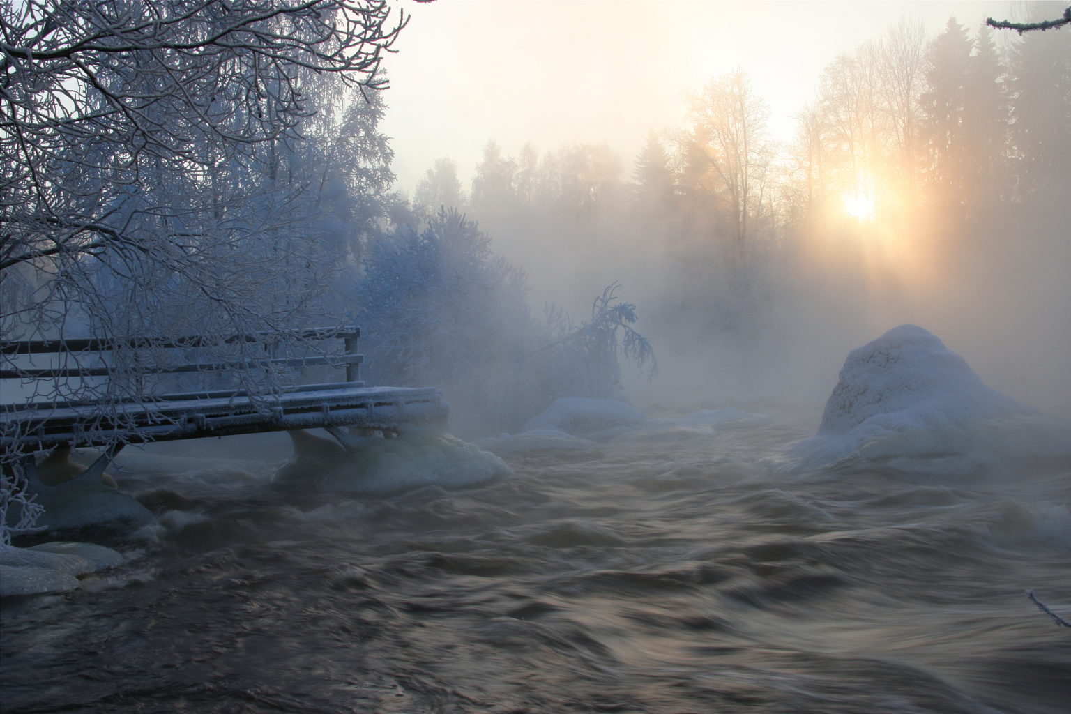 Valokuvaaja: Anni Naukkarinen