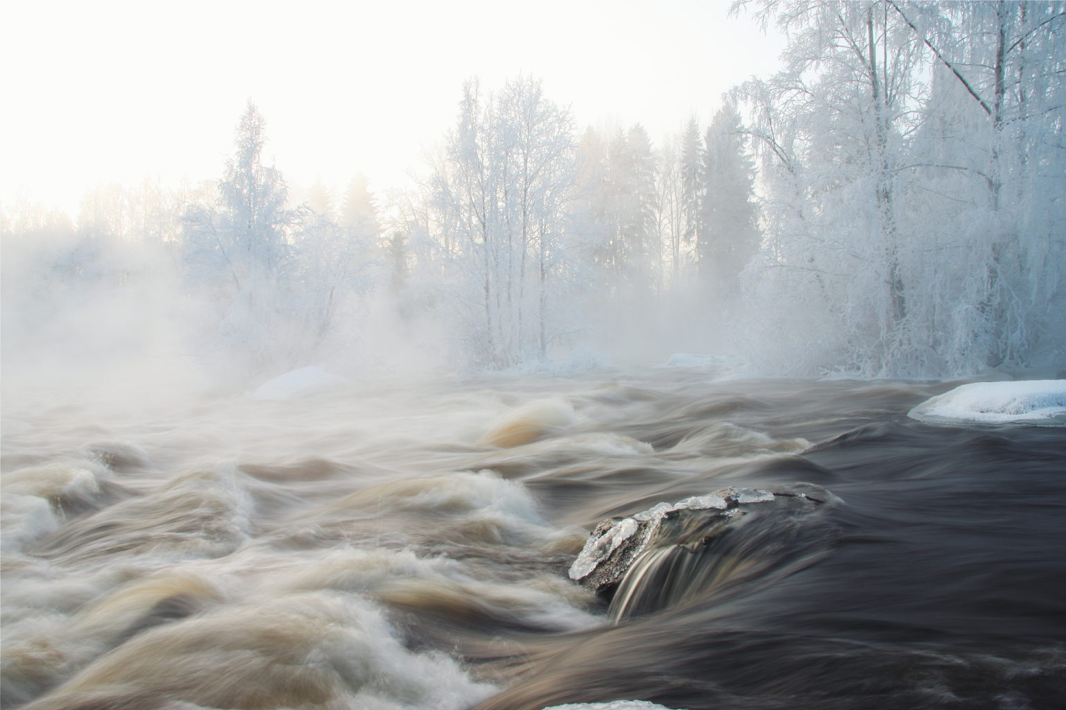 Valokuvaaja: Anni Naukkarinen