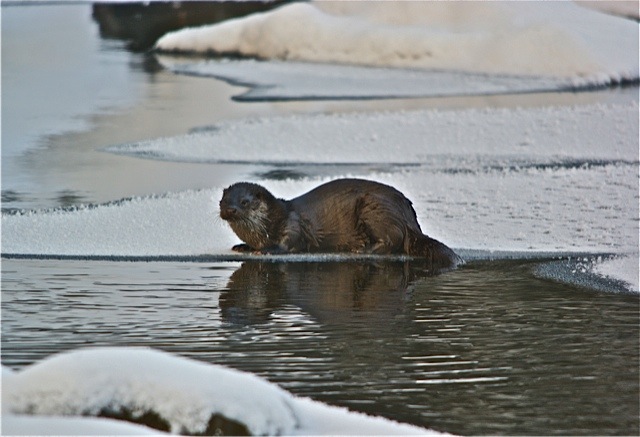 Valokuvaaja: Markku Ranta-Eilola  (mre)