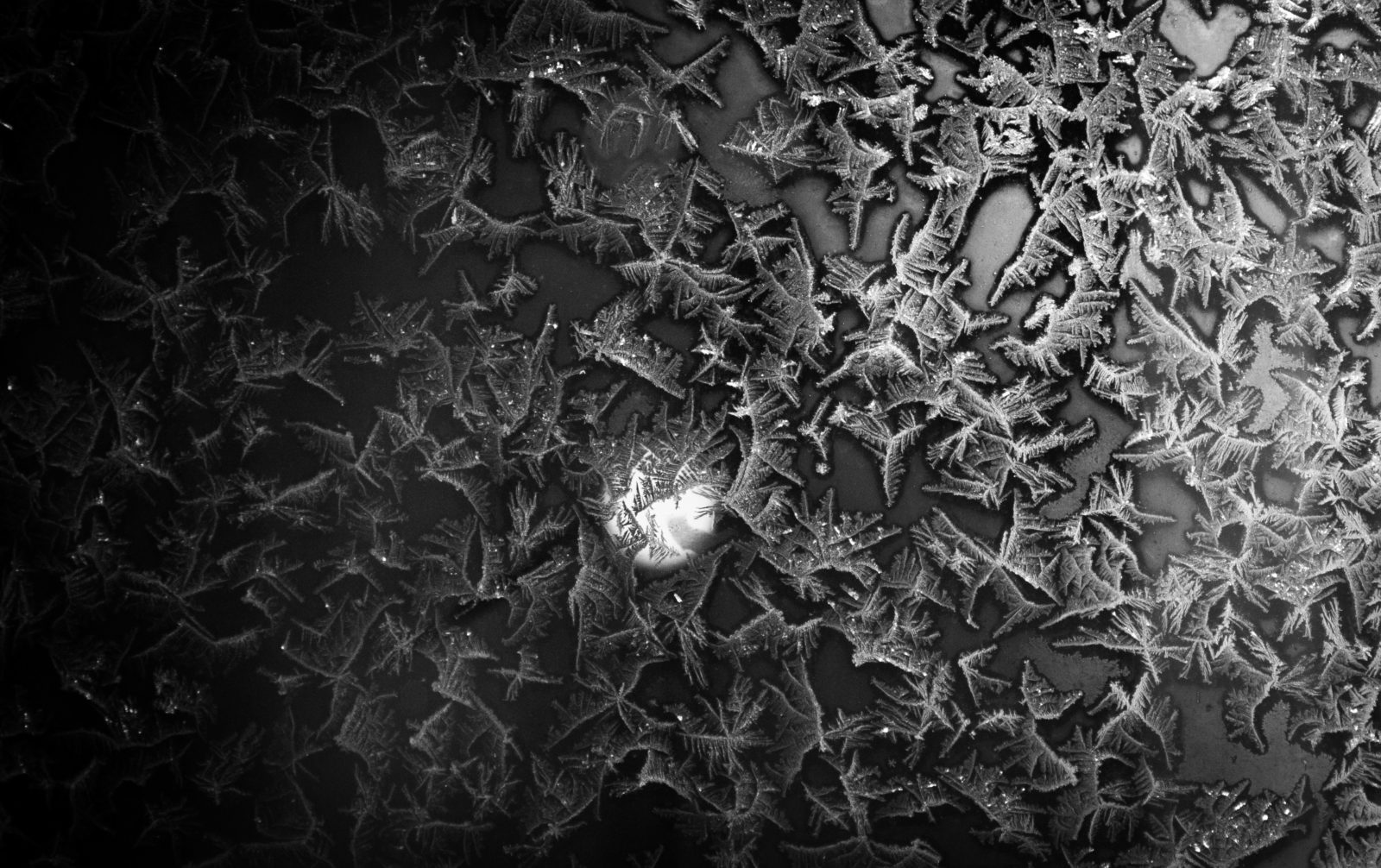 Valokuvaaja: Juho Hartikka