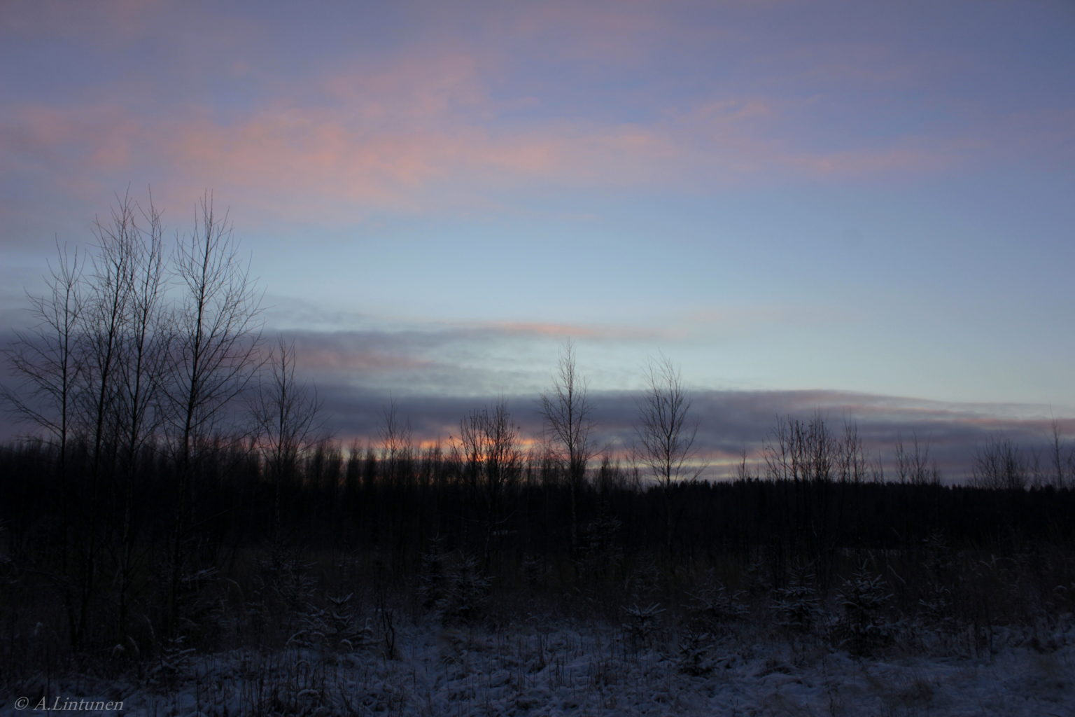 Valokuvaaja: Anna Lintunen