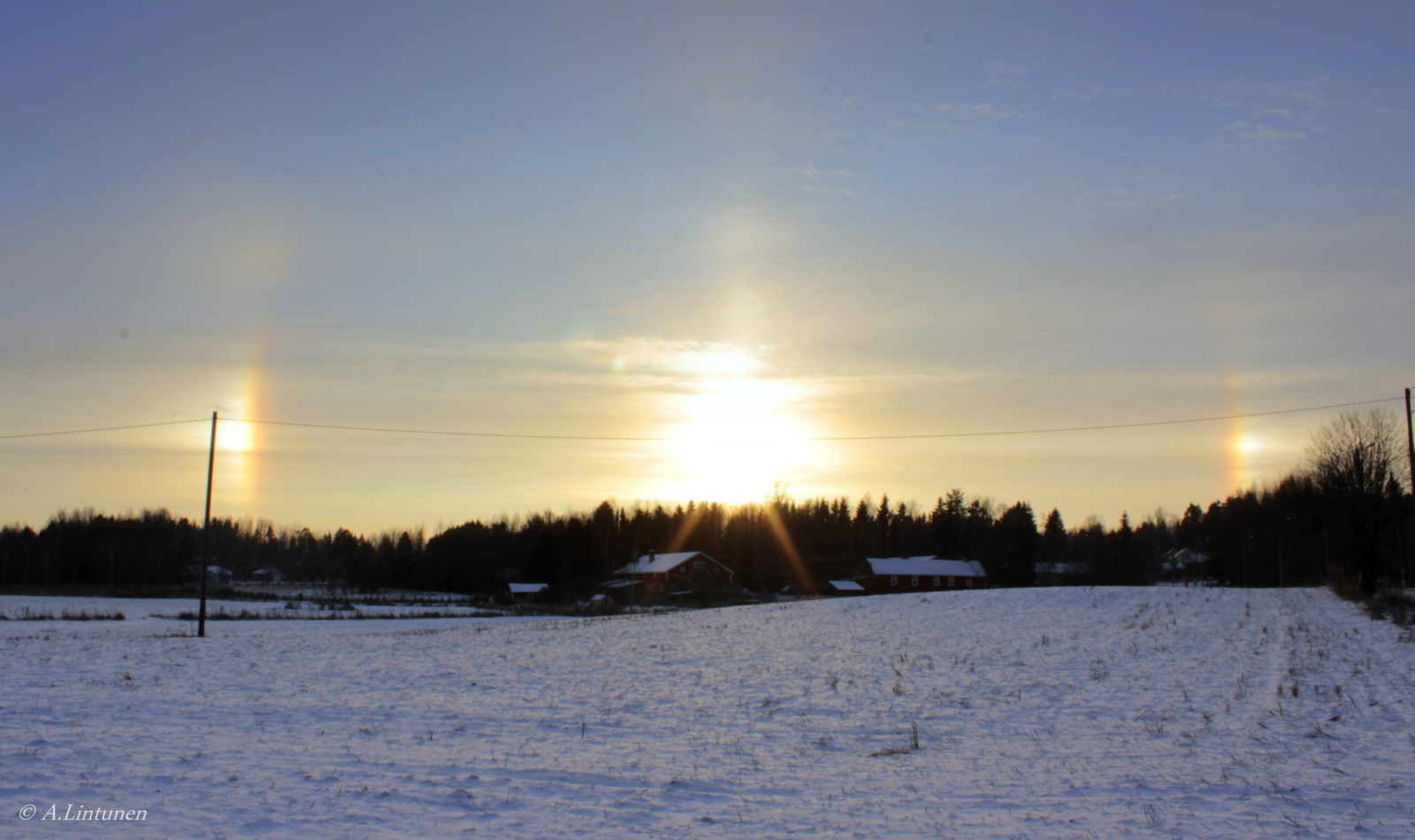 Valokuvaaja: Anna Lintunen