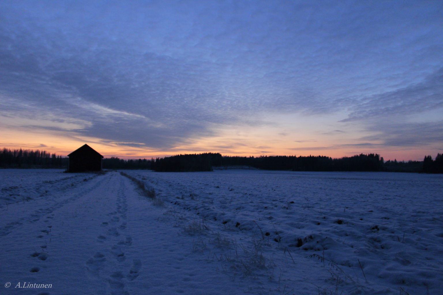 Valokuvaaja: Anna Lintunen Valokuvaaja: Anna Lintunen