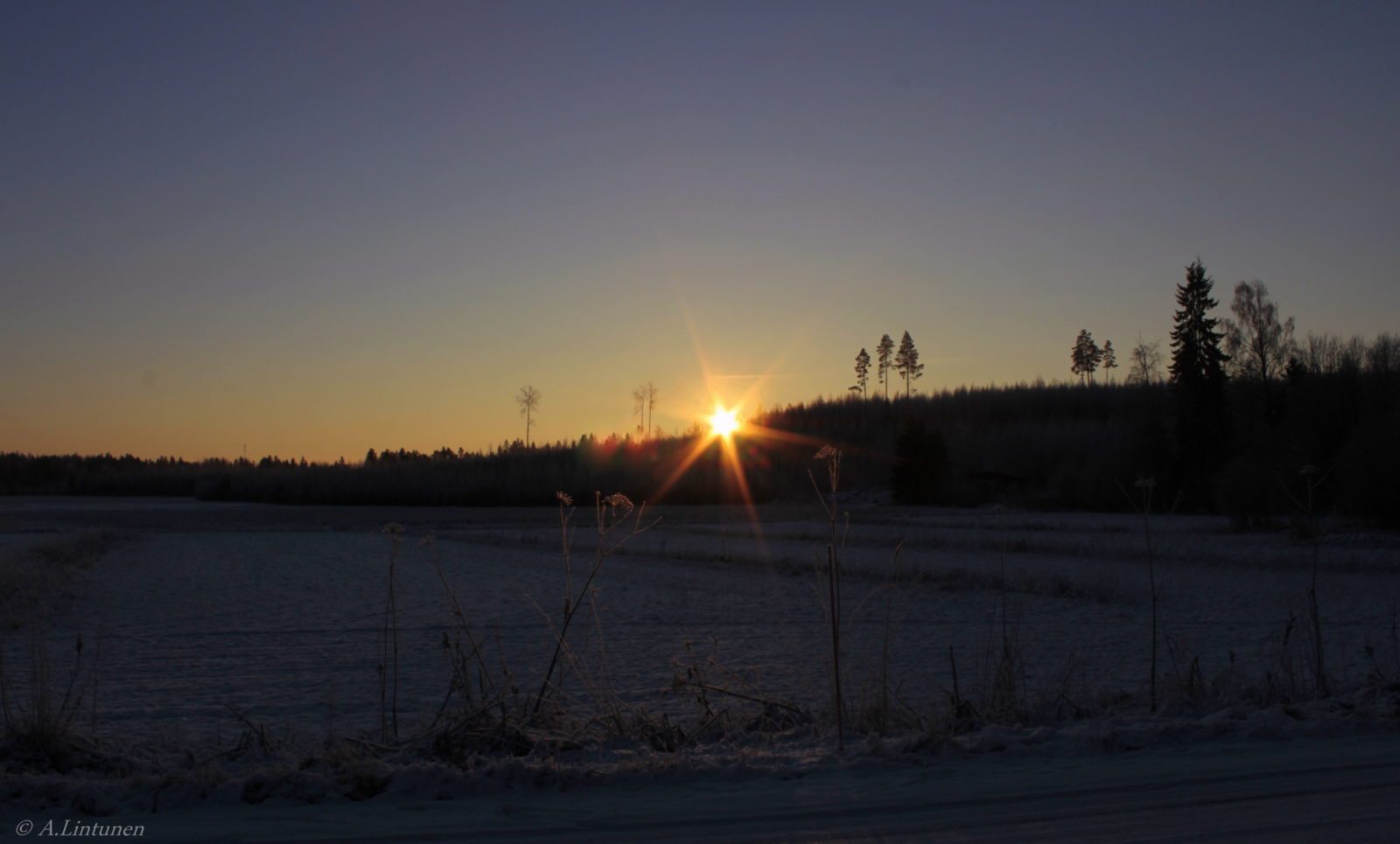 Valokuvaaja: Anna Lintunen
