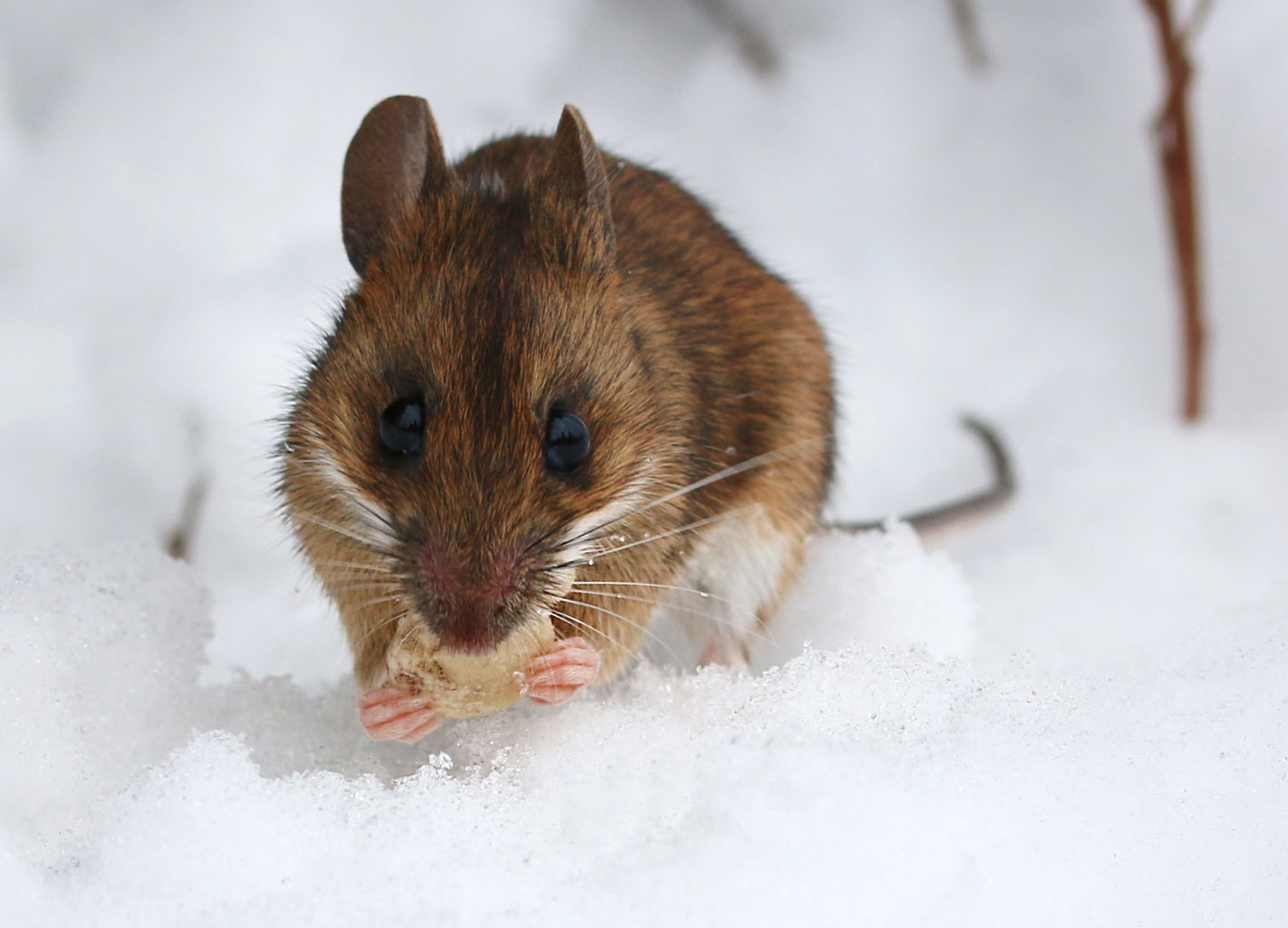 Valokuvaaja: Tarja Porkkala