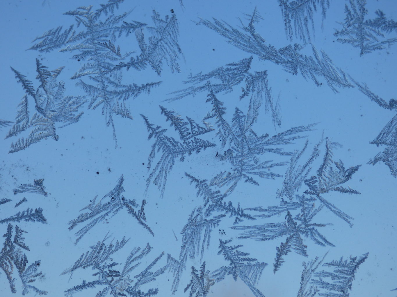 Valokuvaaja: Hannu Rissanen