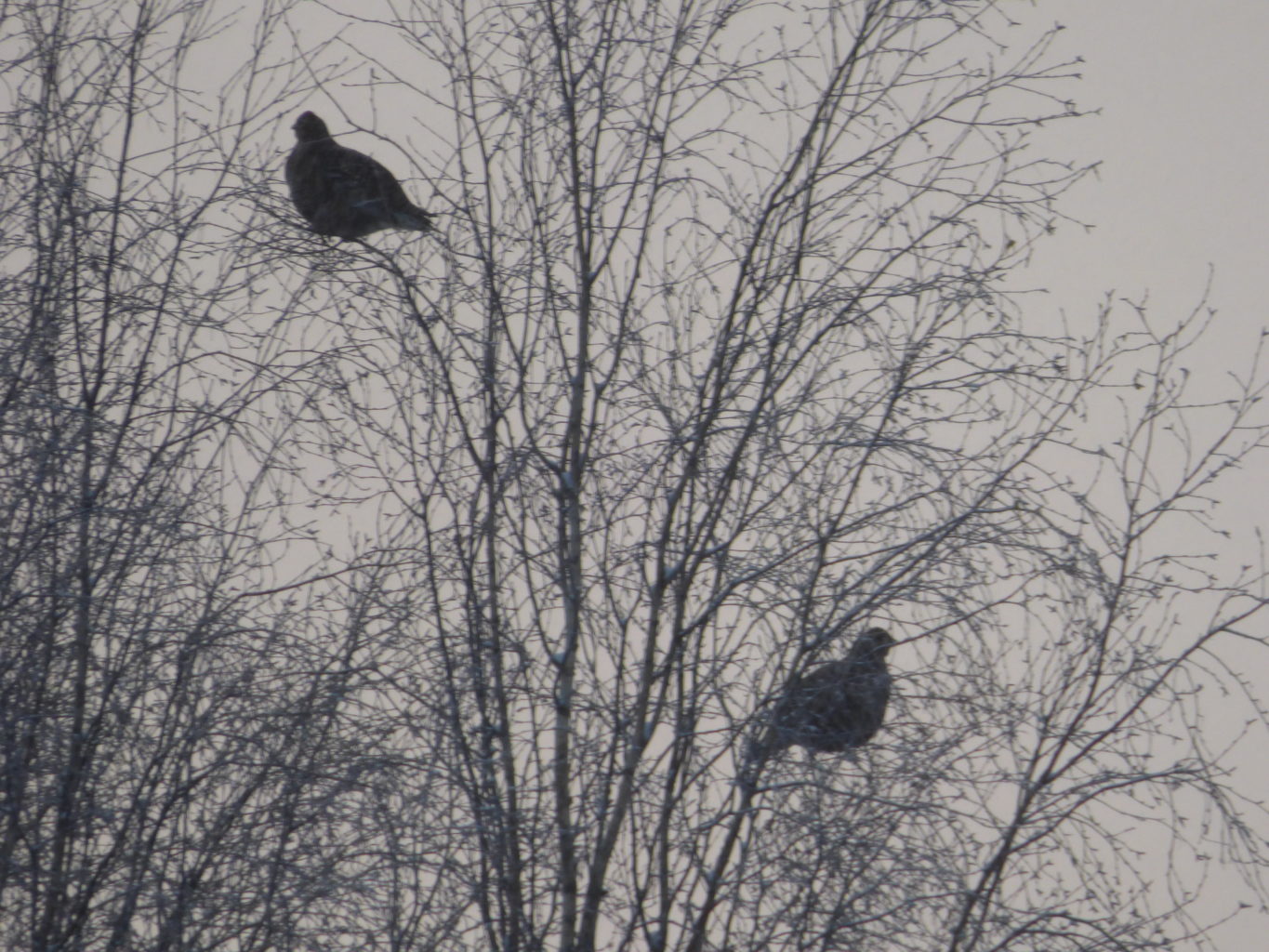 Valokuvaaja: Hannu Rissanen