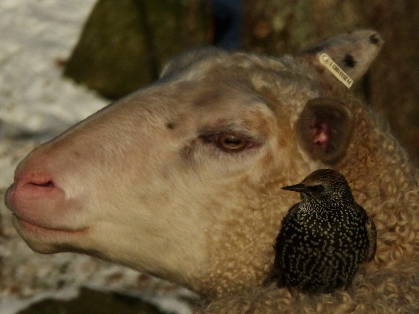 Valokuvaaja: Jukka Tobiasson