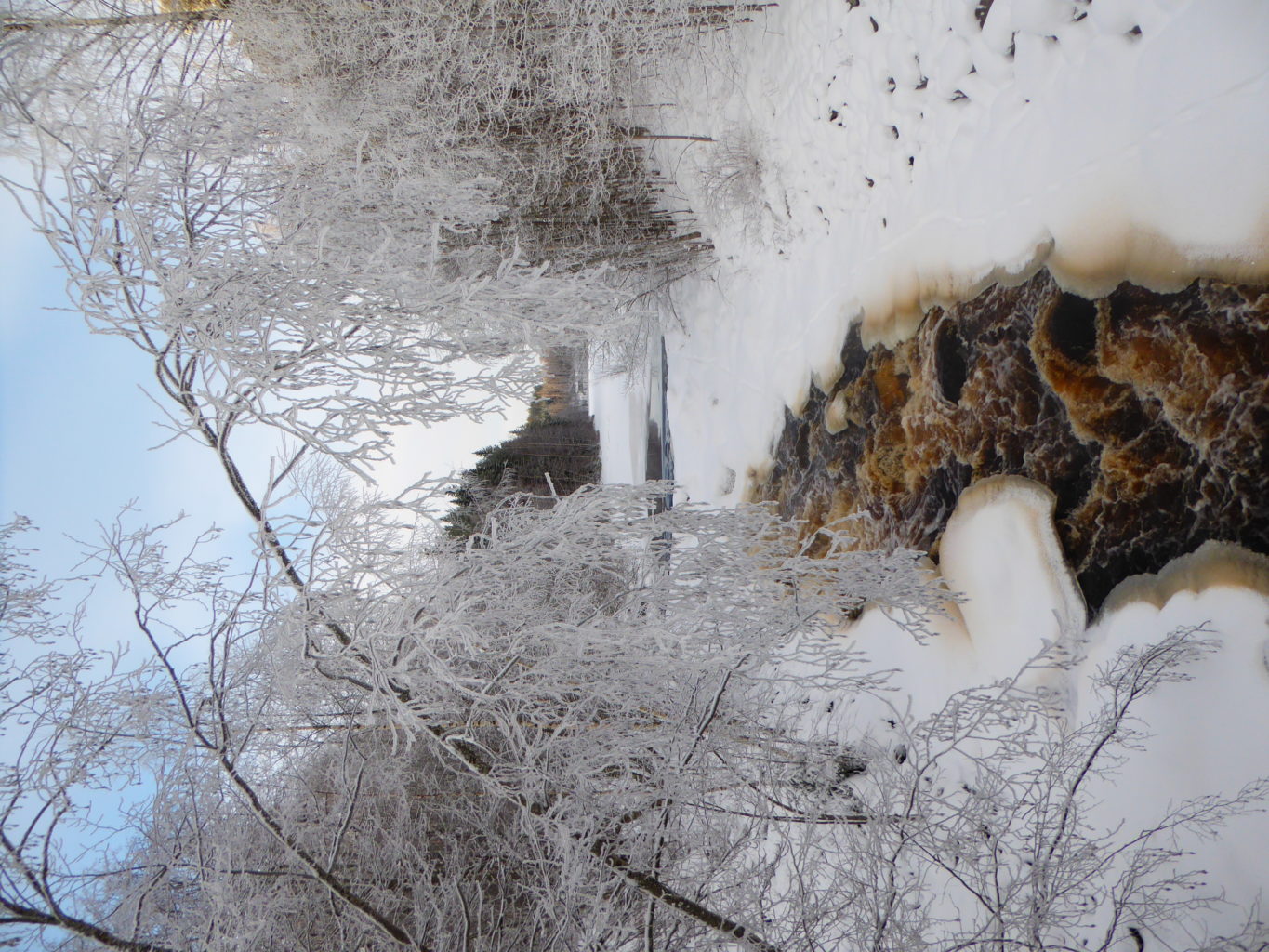 Valokuvaaja: Riina Kärki Valokuvaaja: Riina Kärki