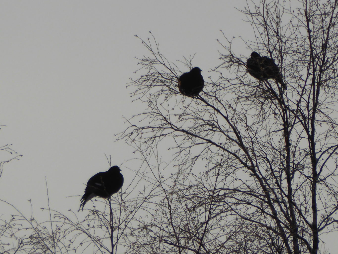 Valokuvaaja: Riina Kärki