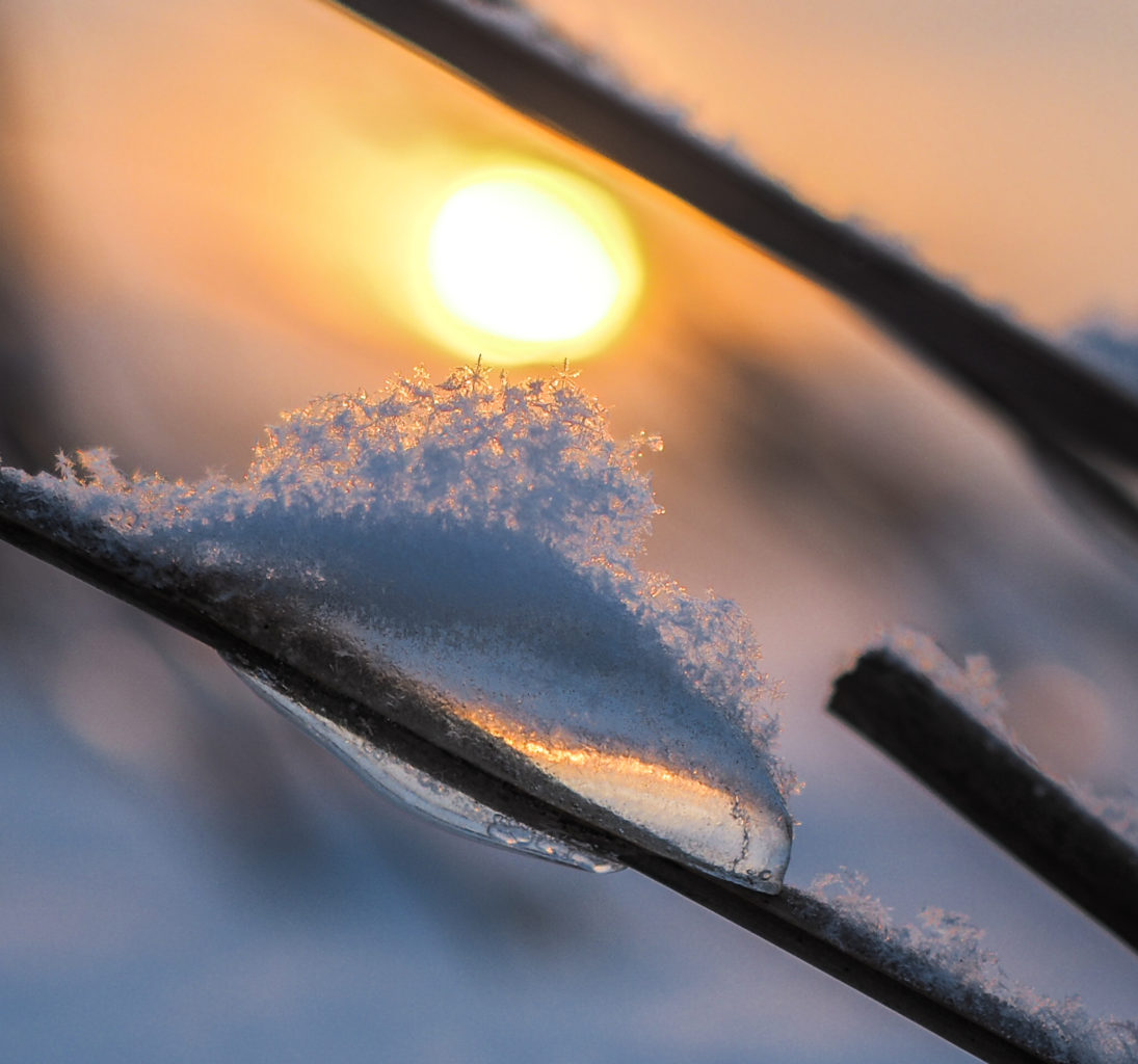 Valokuvaaja: Anna Koponen