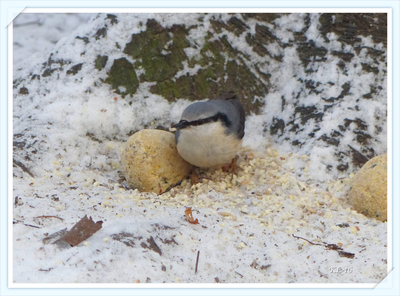 Valokuvaaja: Katri Lehtonen