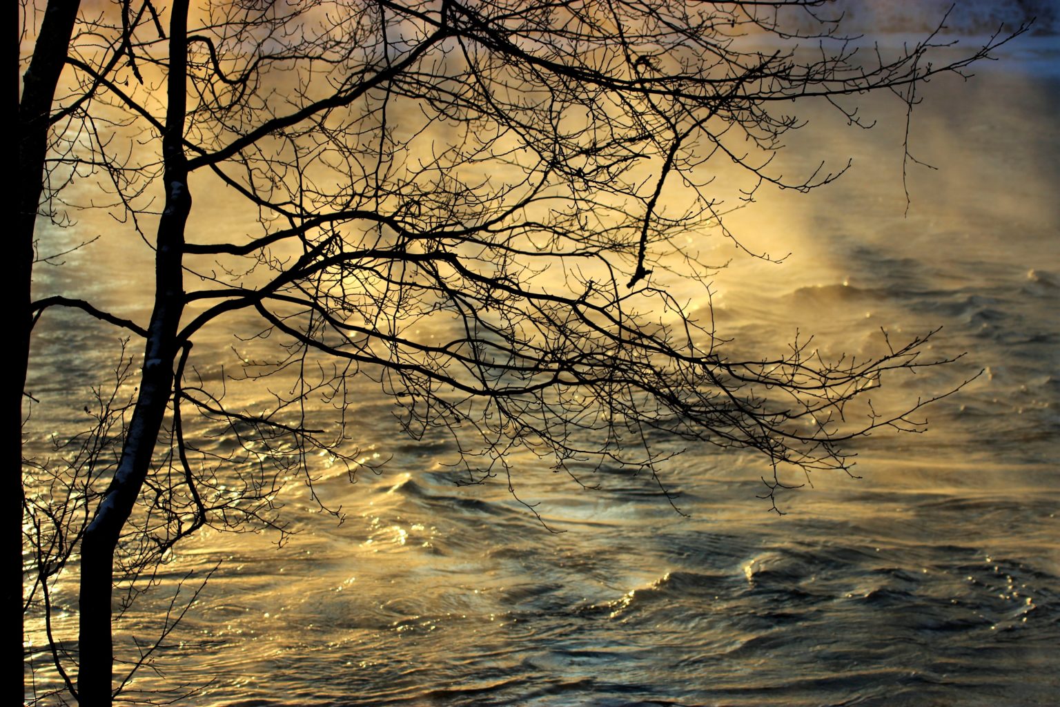 Valokuvaaja: Irja lehtinen