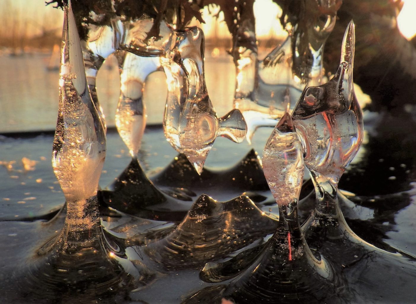 Valokuvaaja: Marja-Liisa Paavola