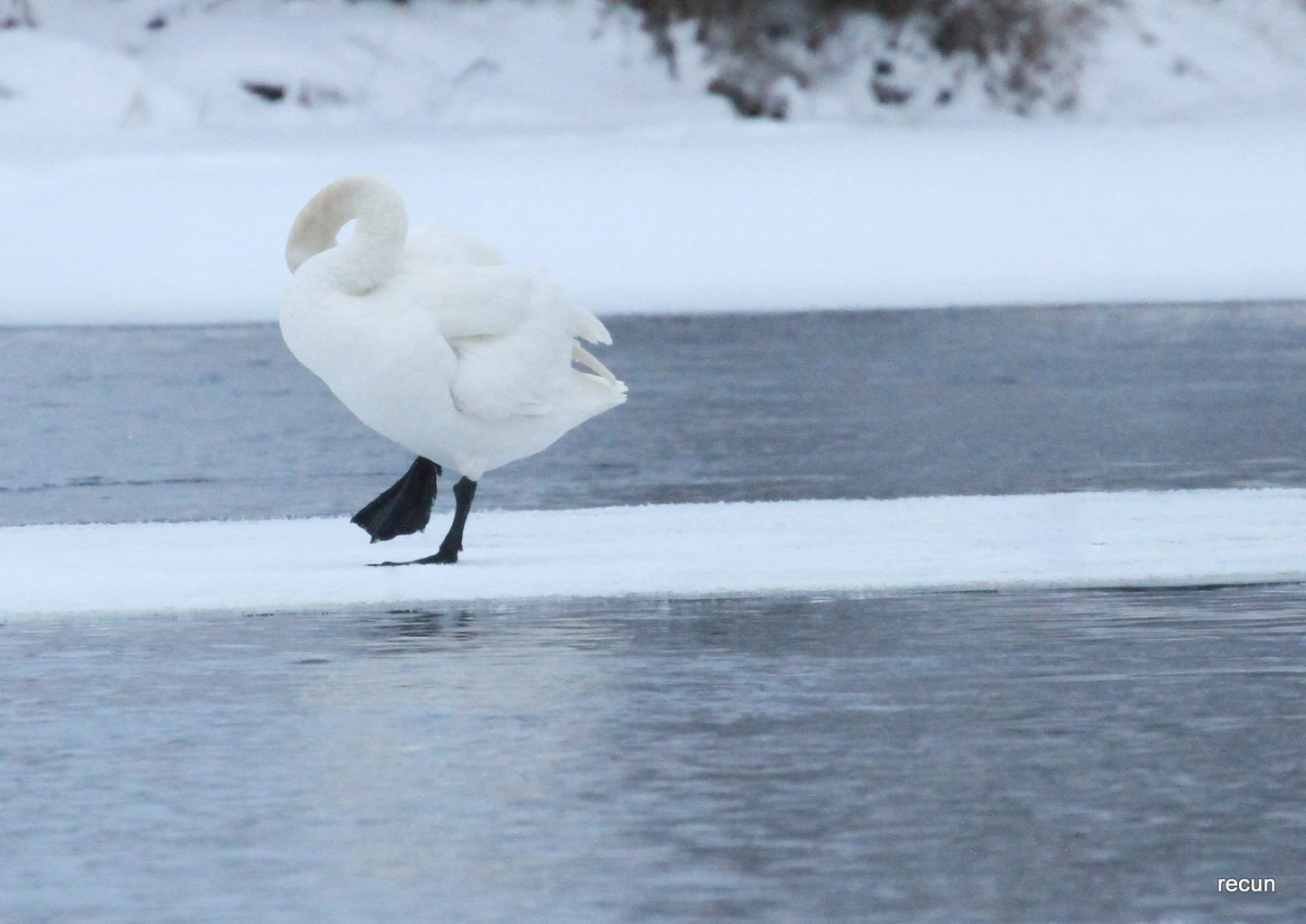 Valokuvaaja: reijo lehtonen