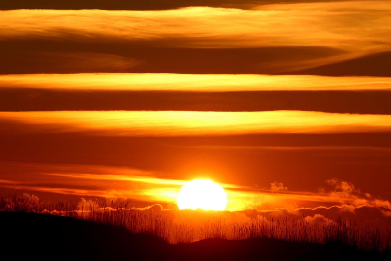 Valokuvaaja: Irja lehtinen