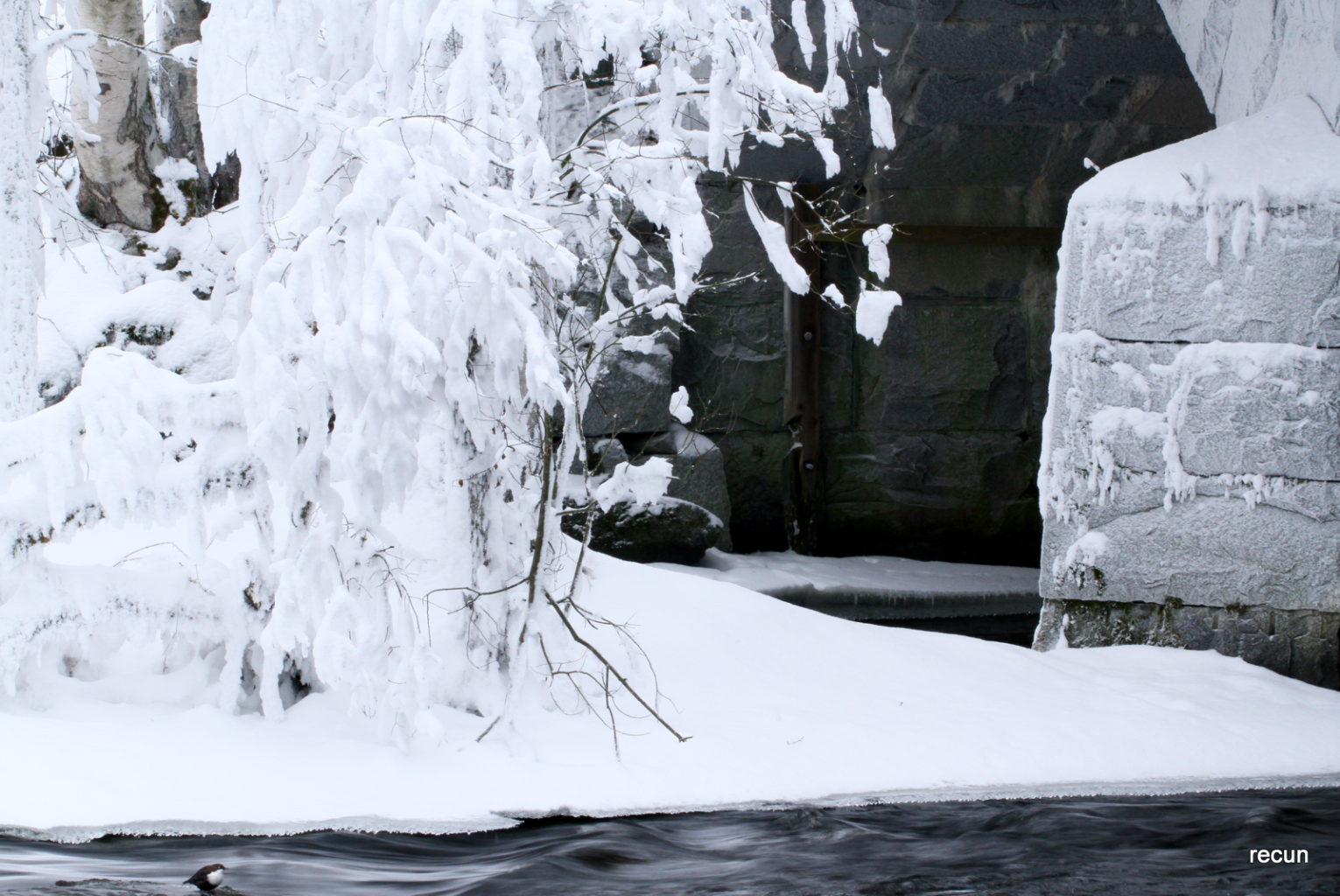 Valokuvaaja: reijo lehtonen