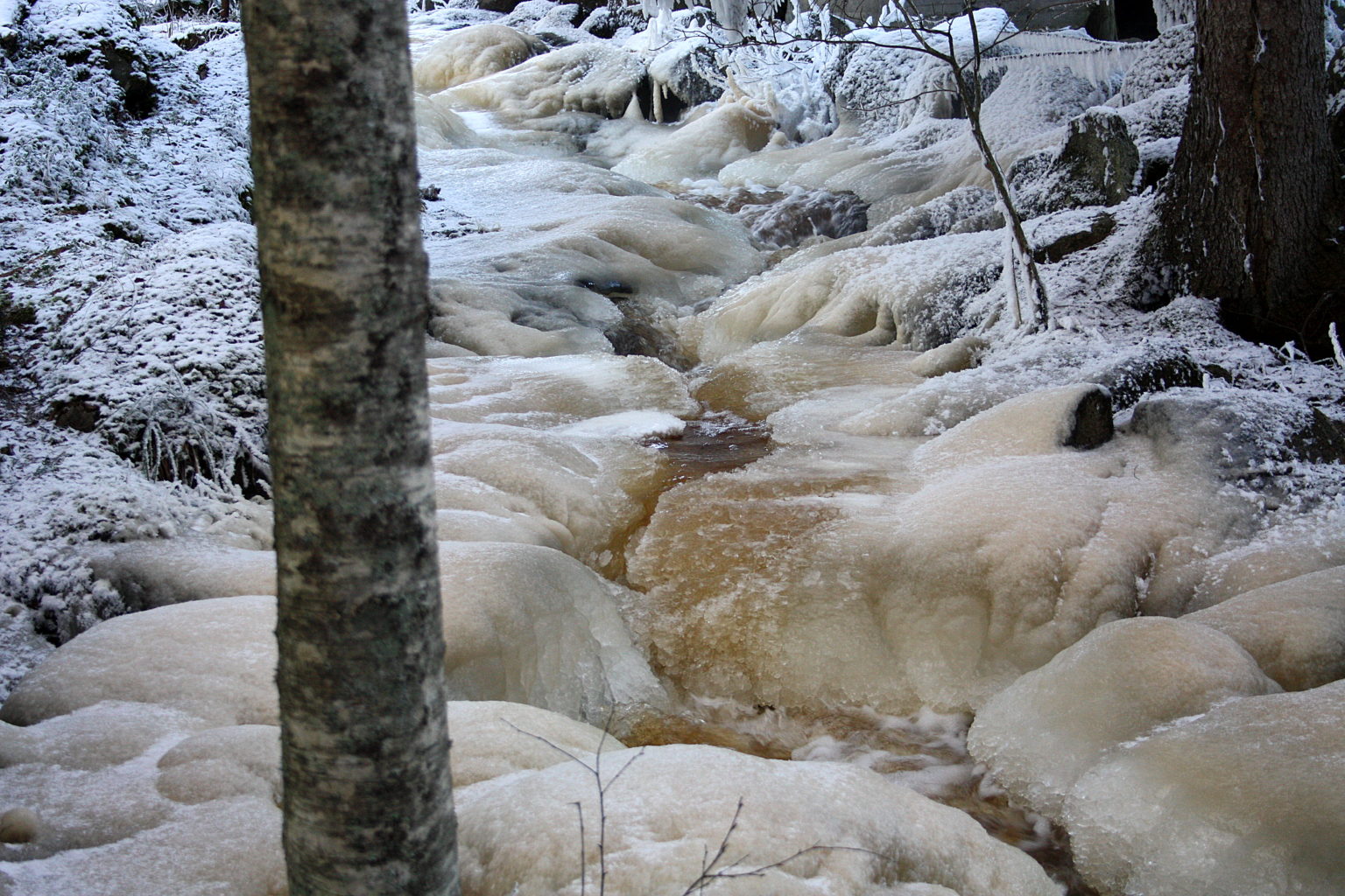 Valokuvaaja: Sirpa Jyske