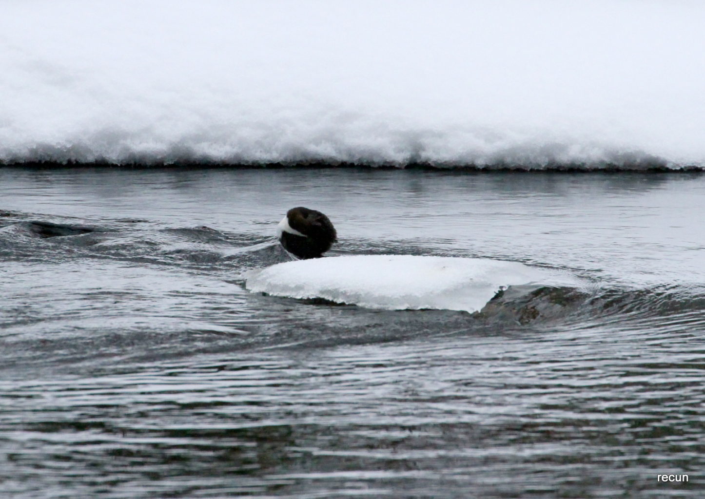 Valokuvaaja: Reijo Lehtonen Valokuvaaja: Reijo Lehtonen