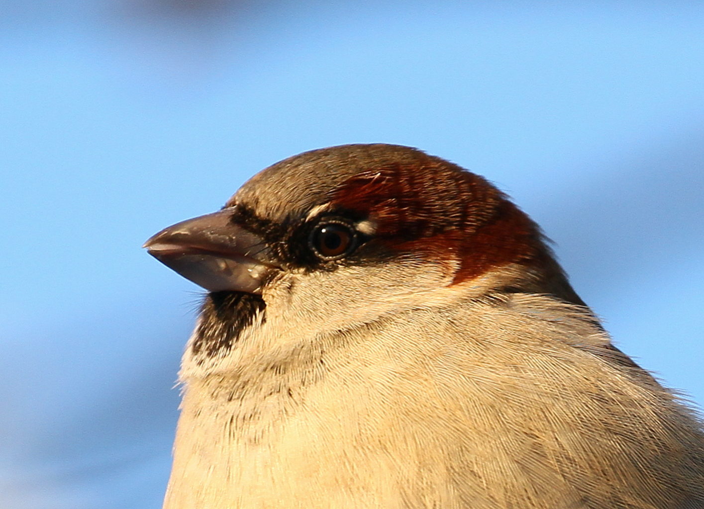 Valokuvaaja: reijo lehtonen