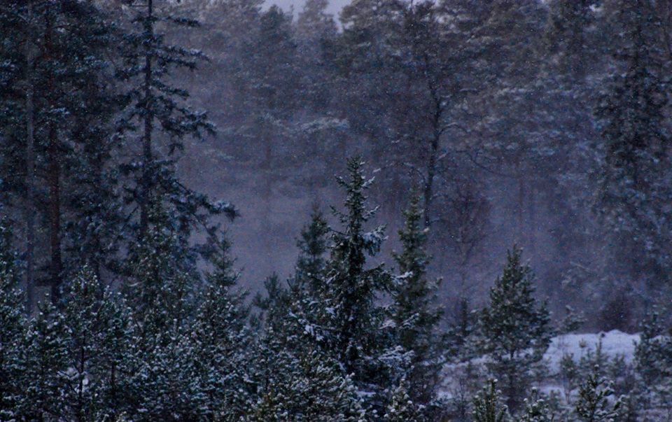 Valokuvaaja: Jenni Merilä