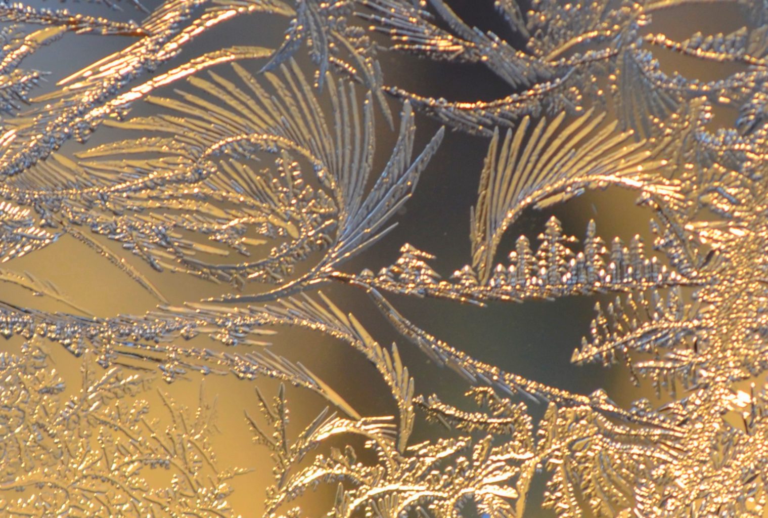 Valokuvaaja: Leena Rissanen