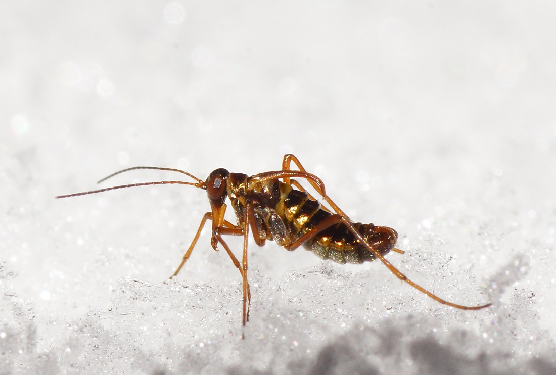 Valokuvaaja: Juhani Harkas