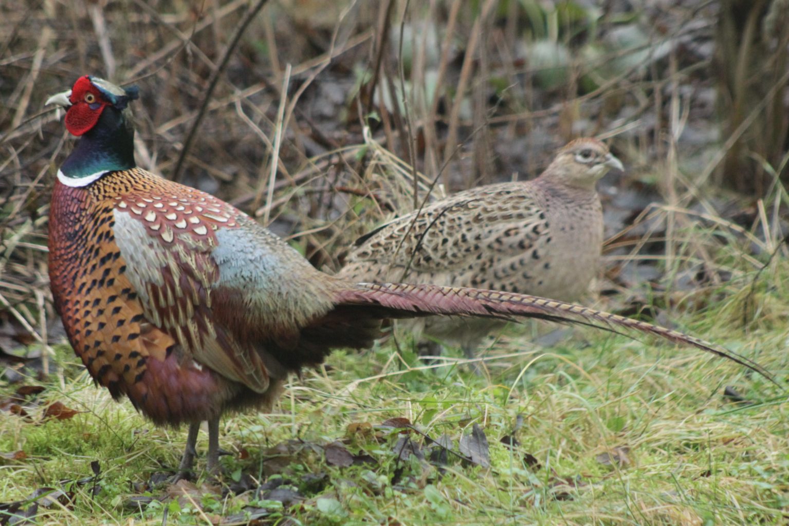 Valokuvaaja: Päivi Salonen
