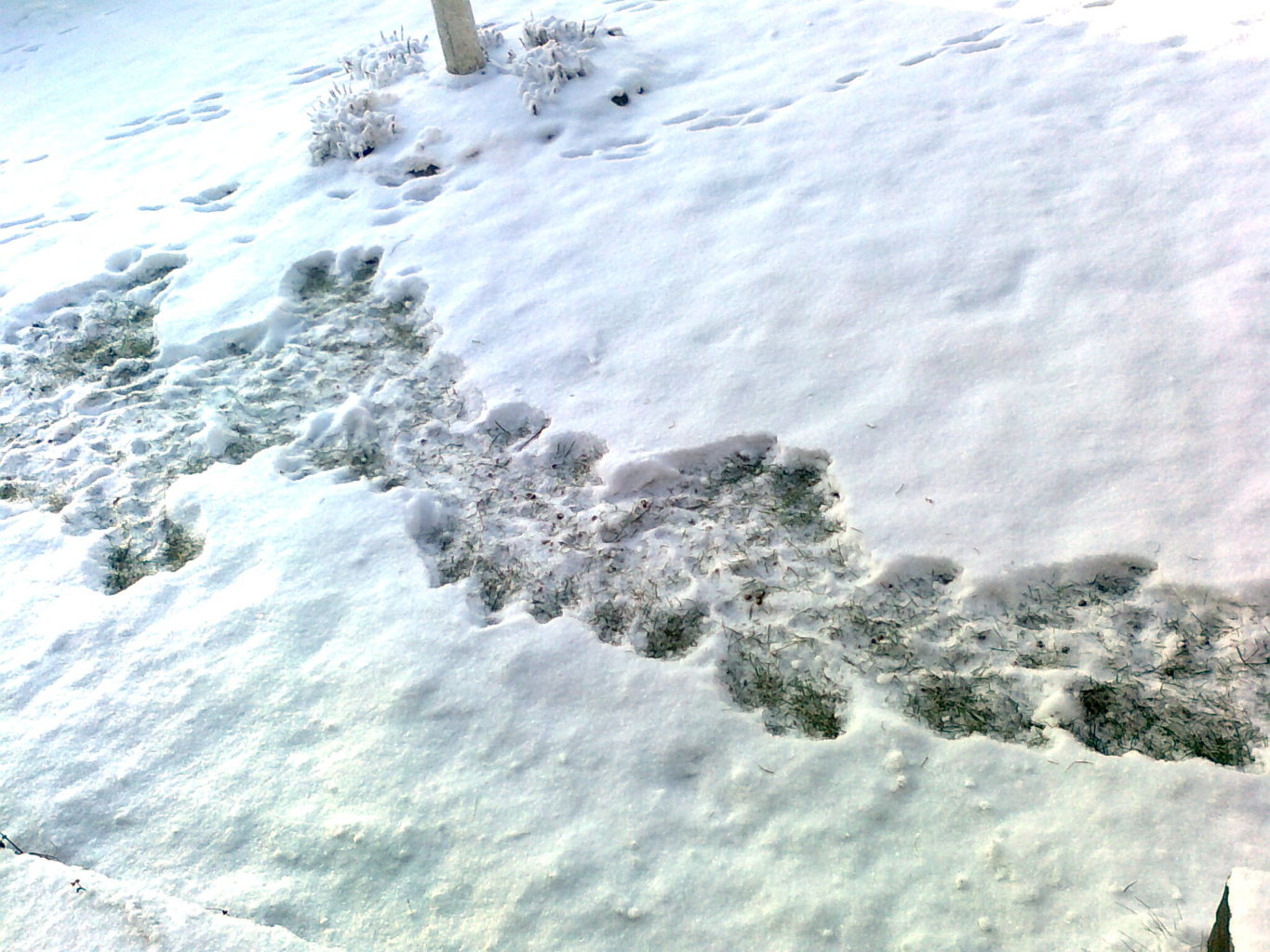 Valokuvaaja: Riitta Palkki Valokuvaaja: Riitta Palkki