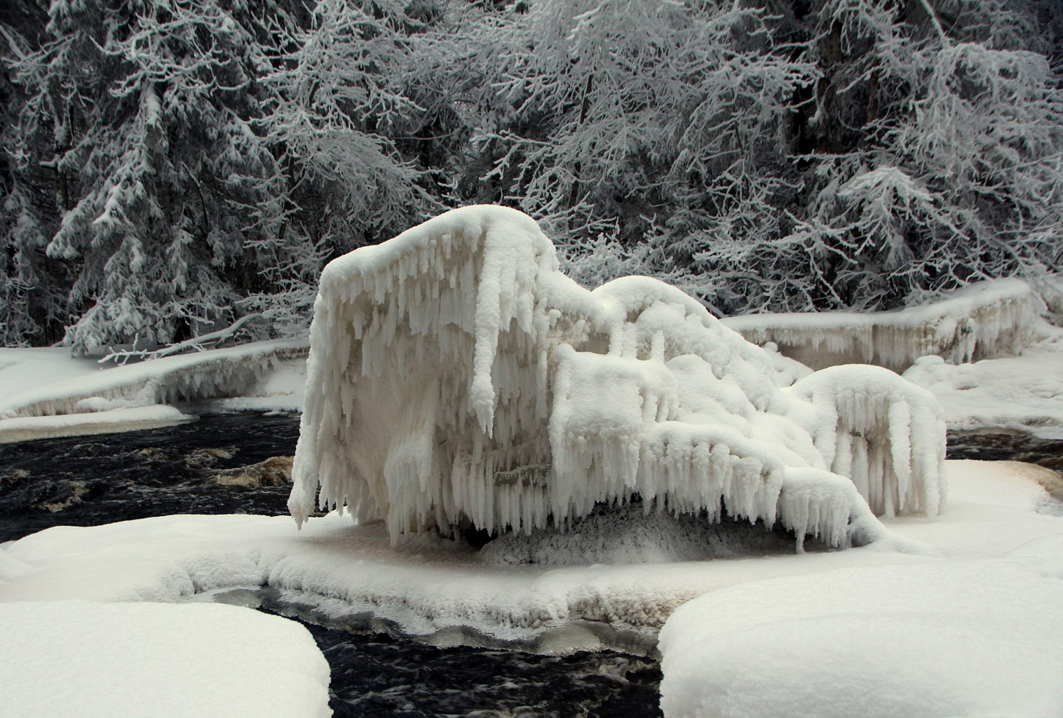 Valokuvaaja: Sirpa Jyske