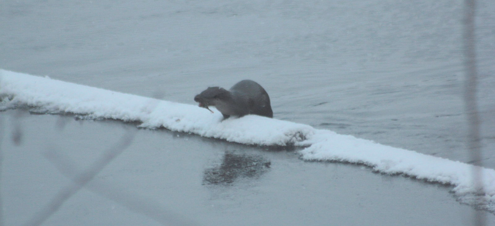 Valokuvaaja: tapio keinonen